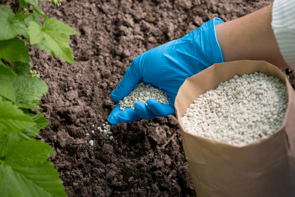 Rodzaje nawozów mineralnych w praktyce rolniczej